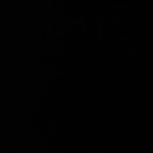 Meet your Posher, Afton-jane